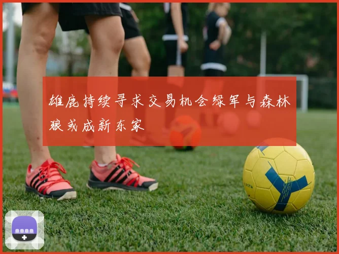 雄鹿持续寻求交易机会绿军与森林狼或成新东家