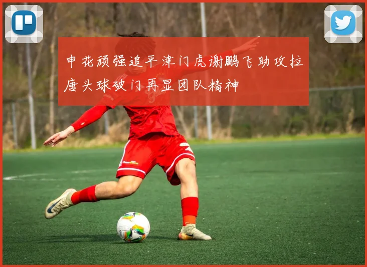 申花顽强追平津门虎谢鹏飞助攻拉唐头球破门再显团队精神