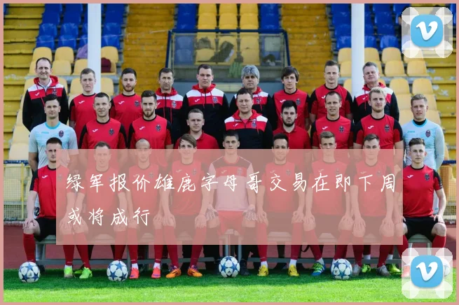 绿军报价雄鹿字母哥交易在即下周或将成行